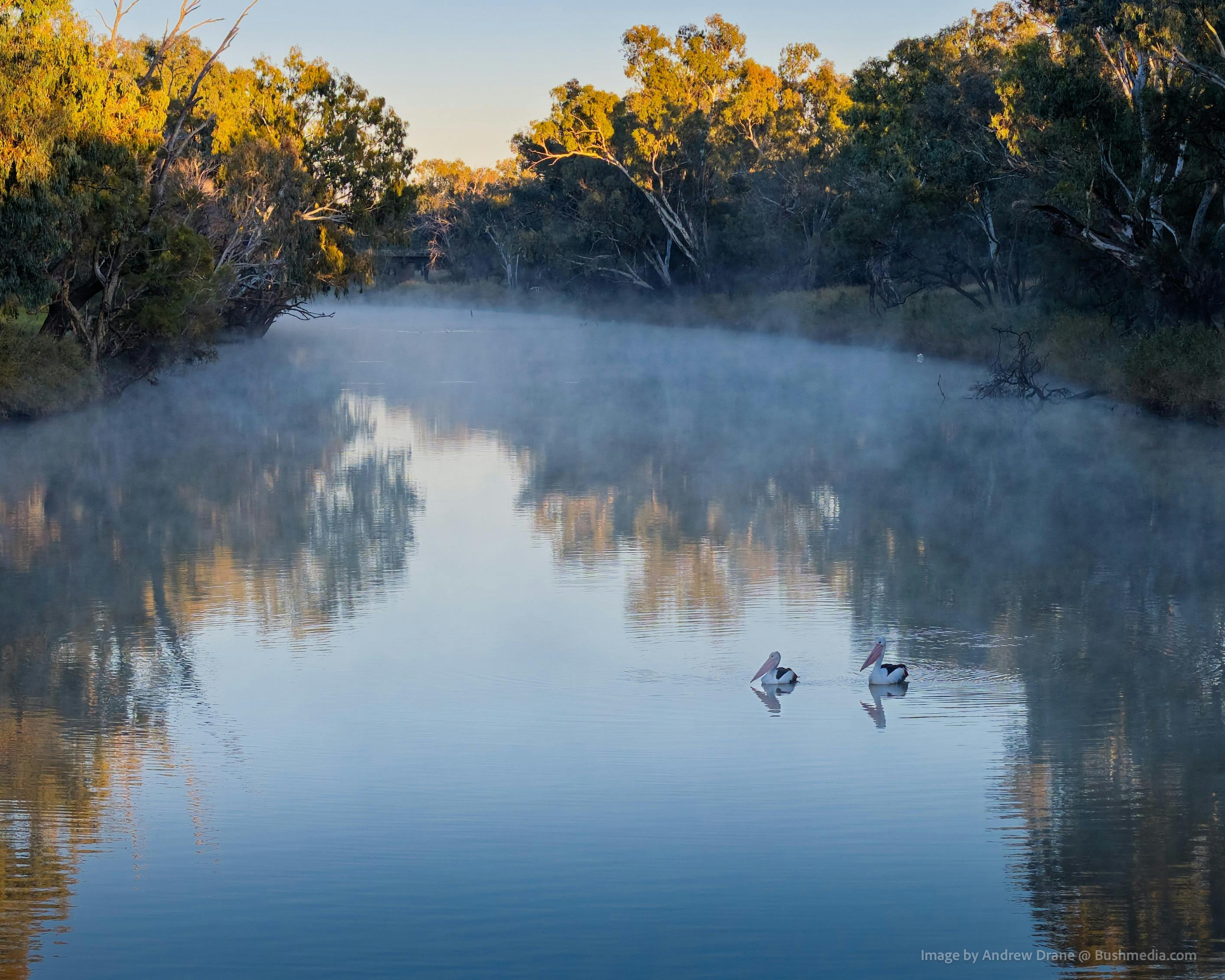 Barwon River near Walgett