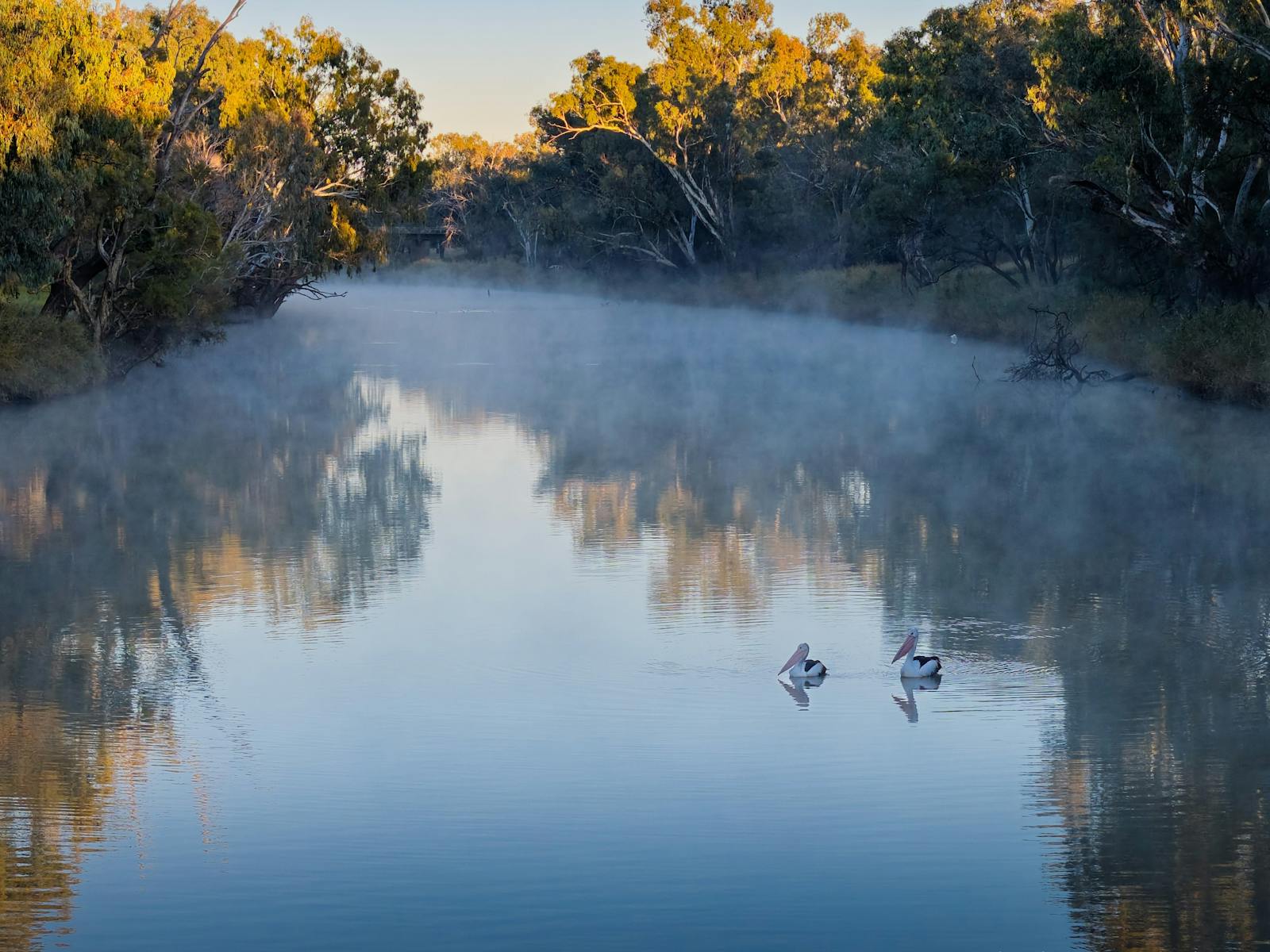 Walgett Two Rivers Barwon River | NSW Holidays & Accommodation, Things to Do, Attractions ...