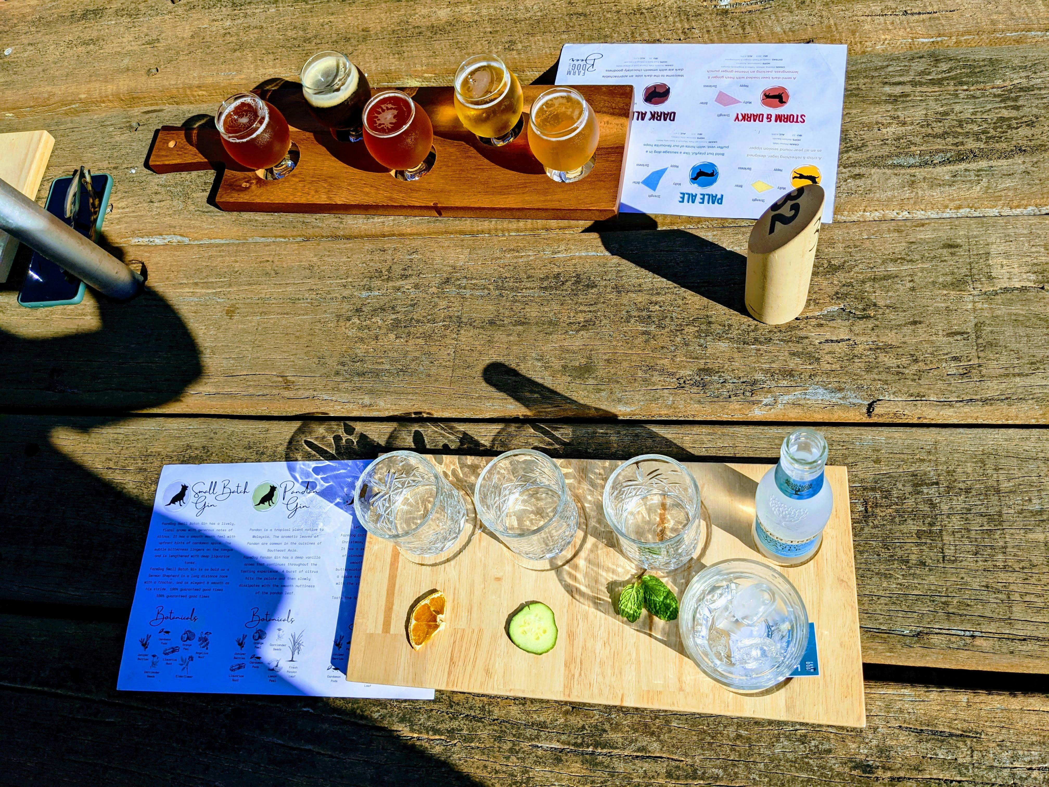 Gin and beer tasting