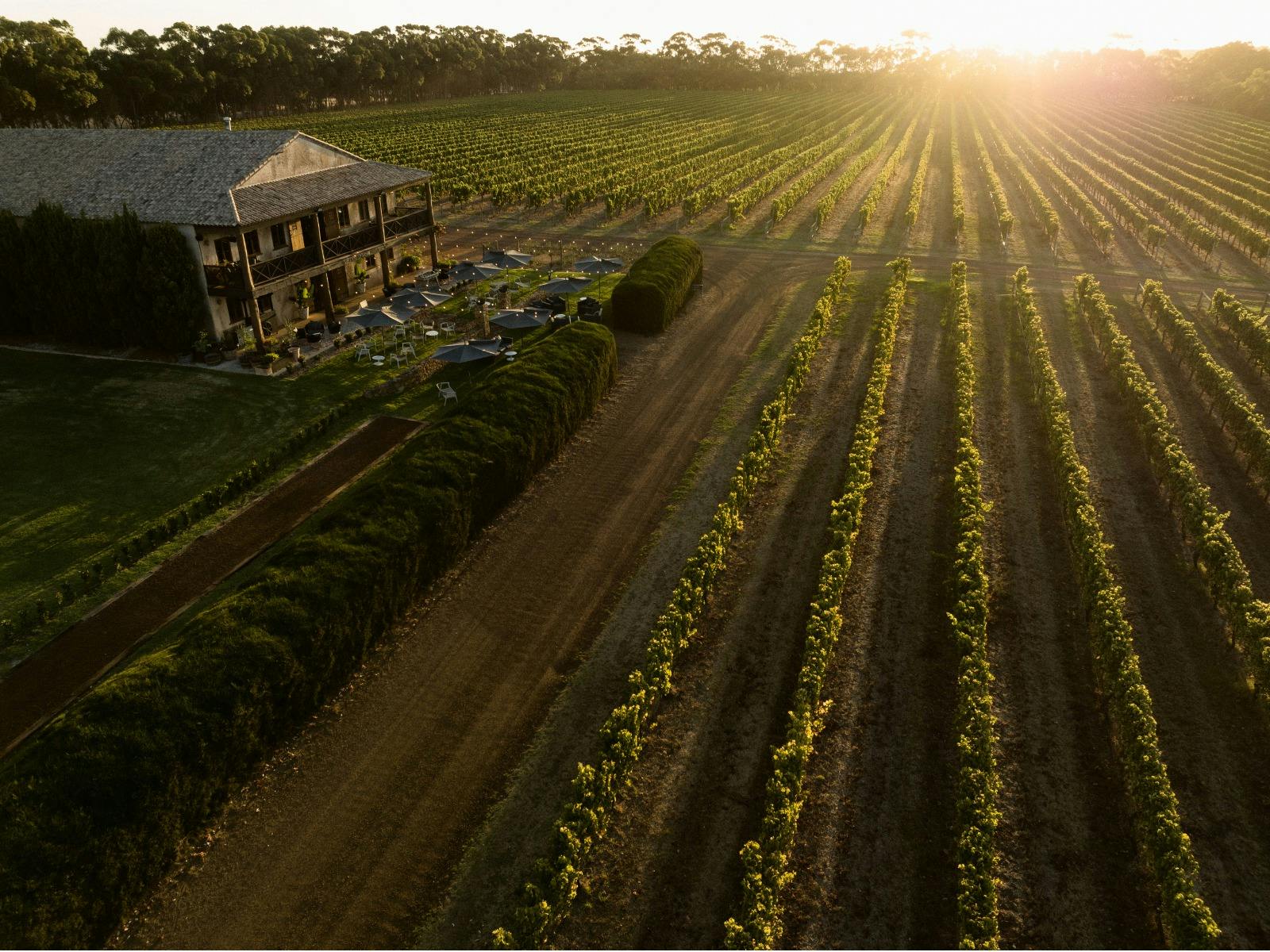 Cherubino Margaret River Cellar Door
