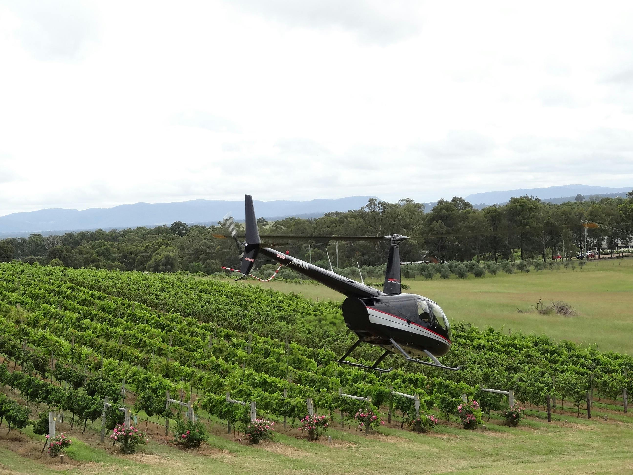 Scenic Helicopter Flight & Wine Tasting