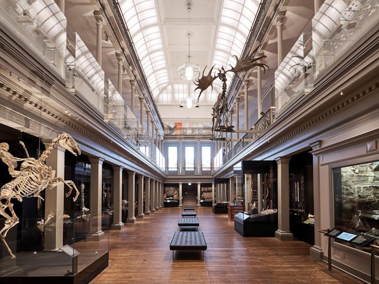Australian Museum | Sydney, Australia - Official Travel & Accommodation