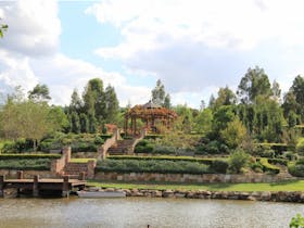 The Bath House Garden Open Day
