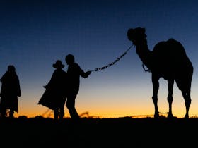 Bring your camera on camel safaris with Camel Treks Australia in the Far North Flinders Ranges