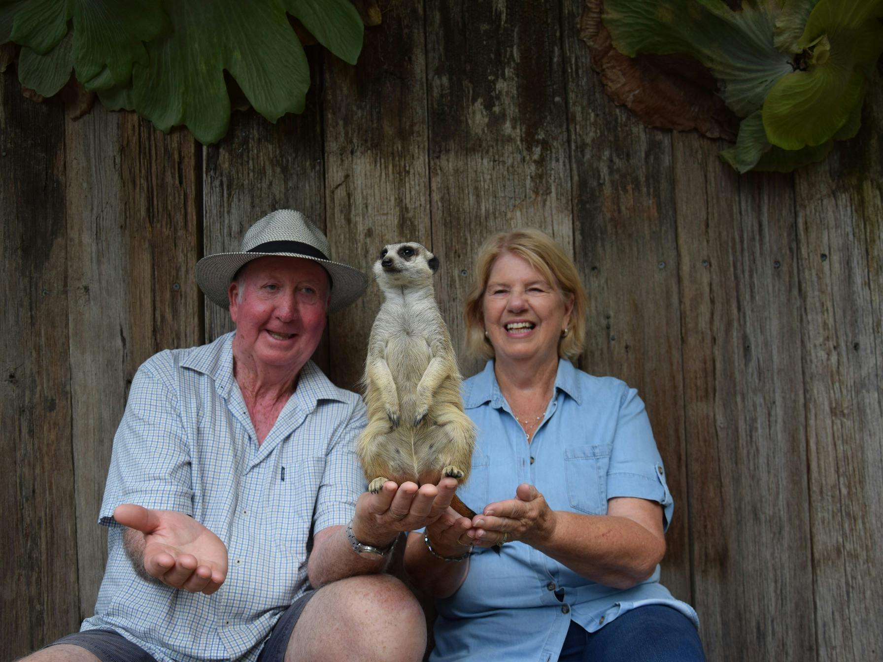 Couple holding a meerkat during an encounter