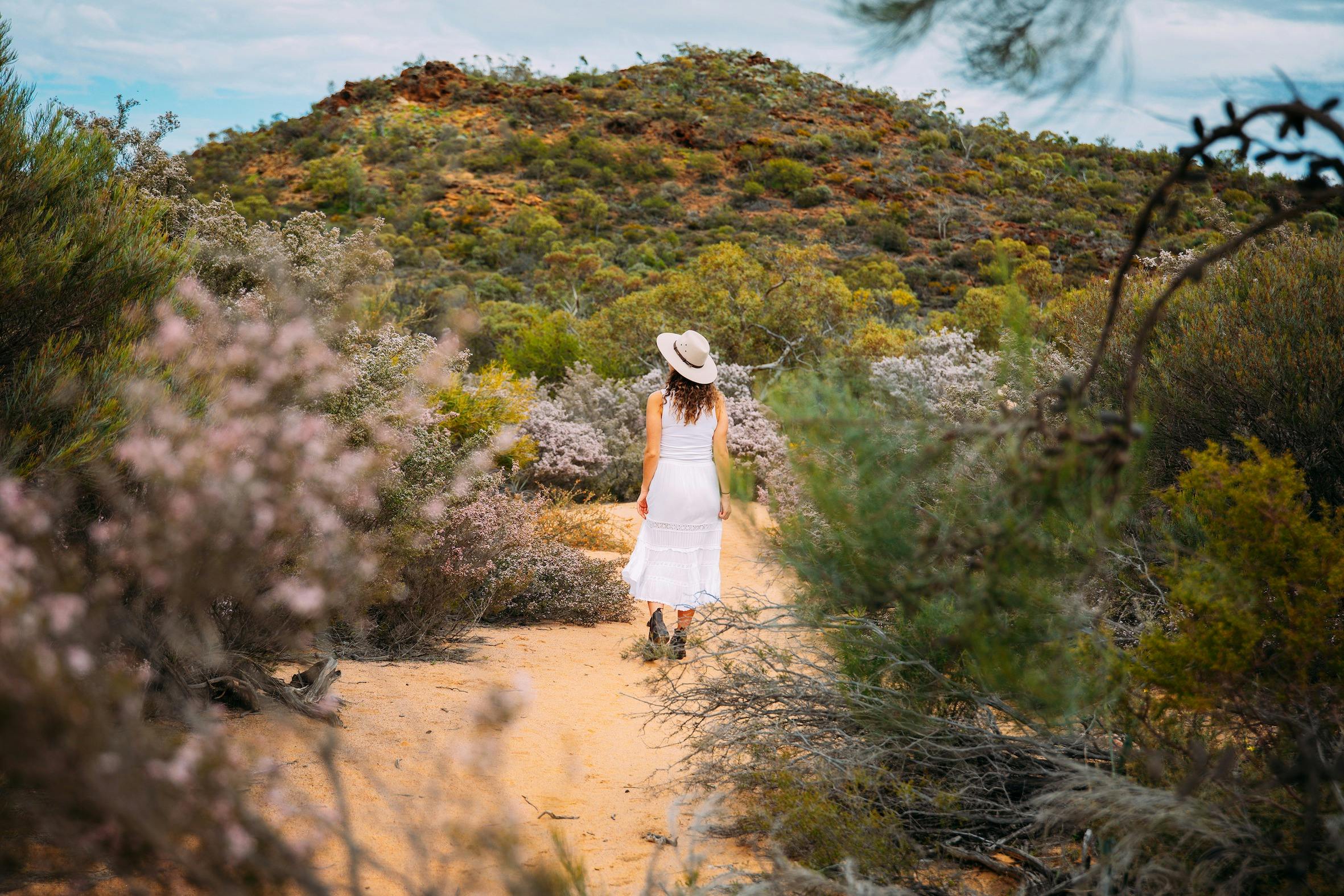 Half day wildflower tour