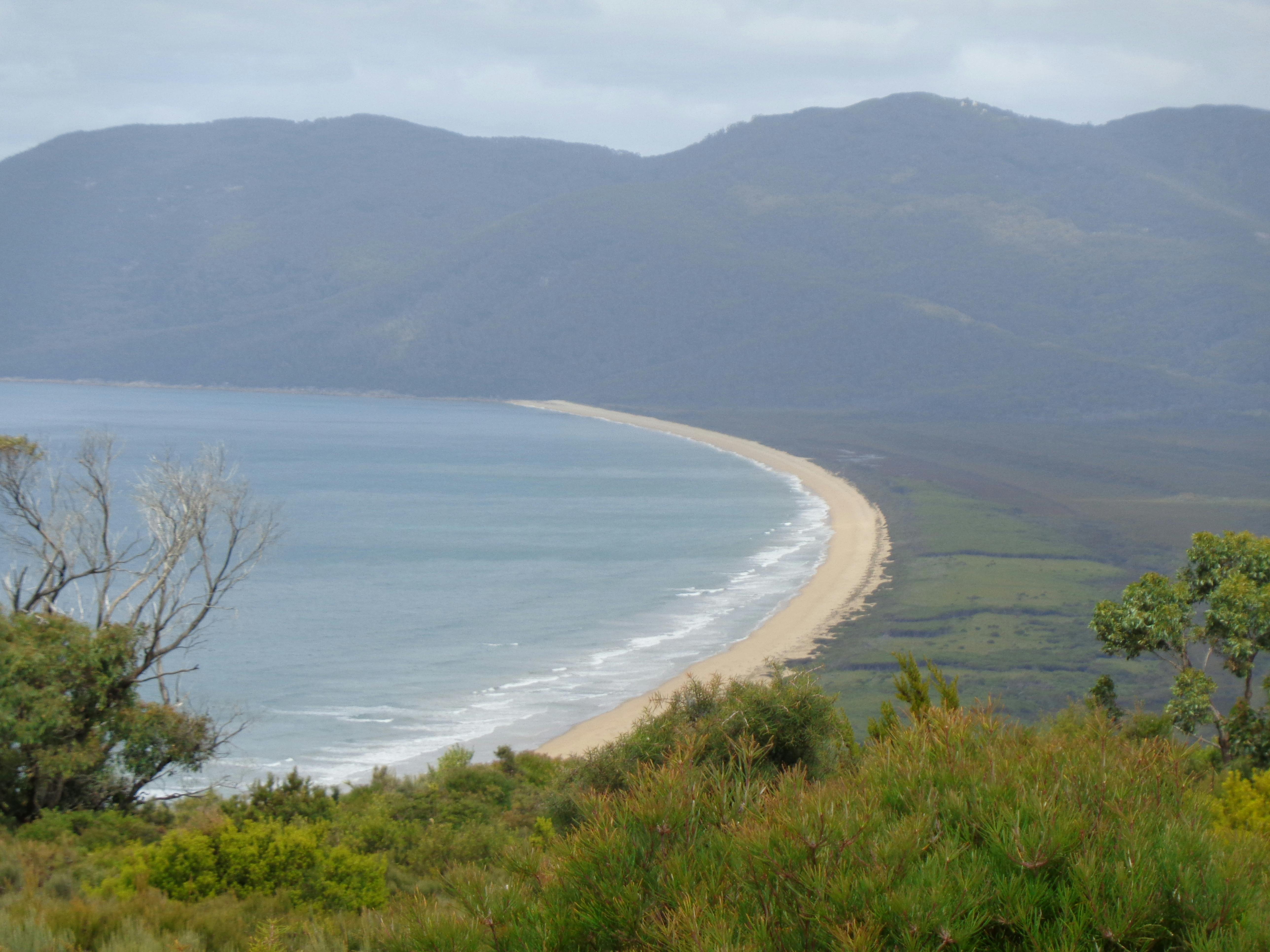 View of the untouched 5 Mile Beach from atop the track