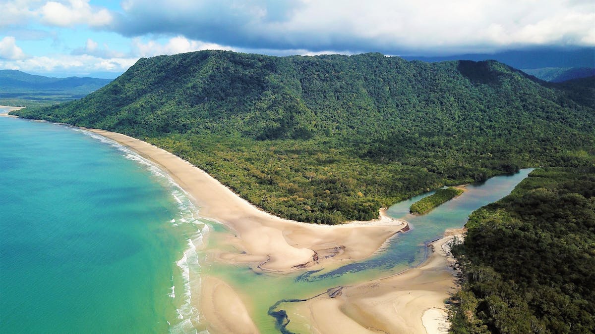 Daintree Day Tours
