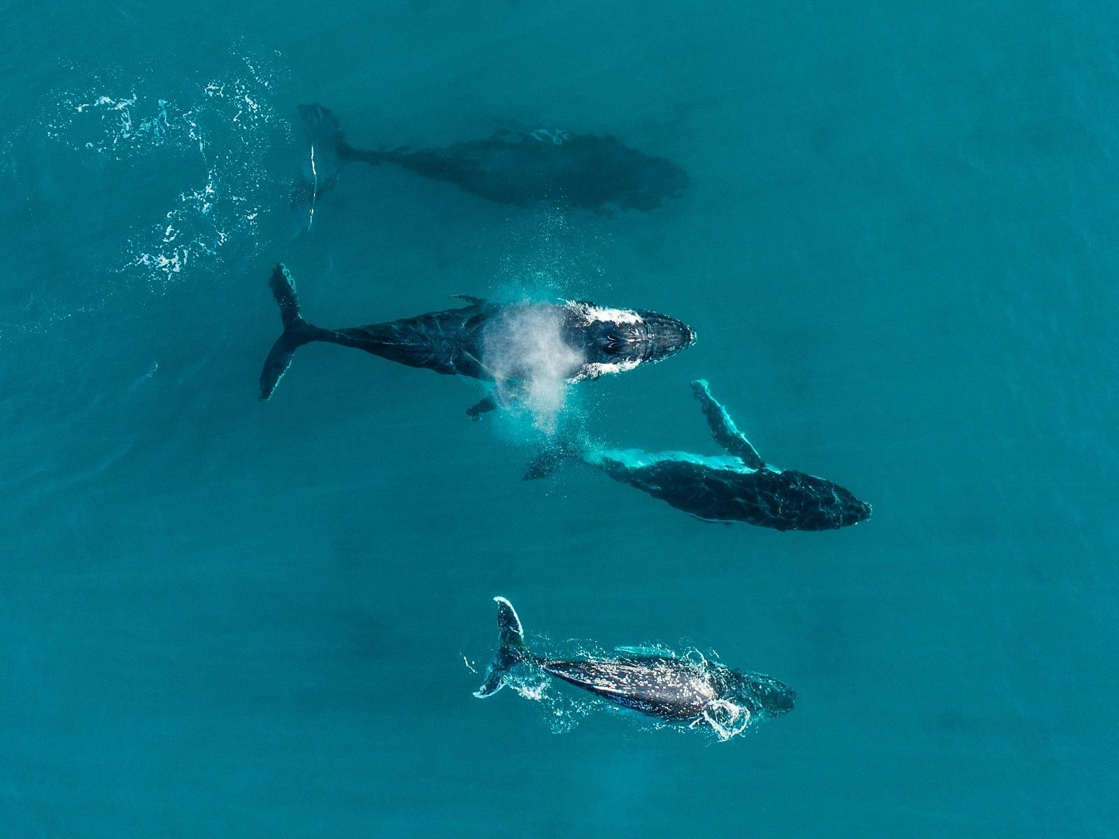 Dunsborough, Western Australia