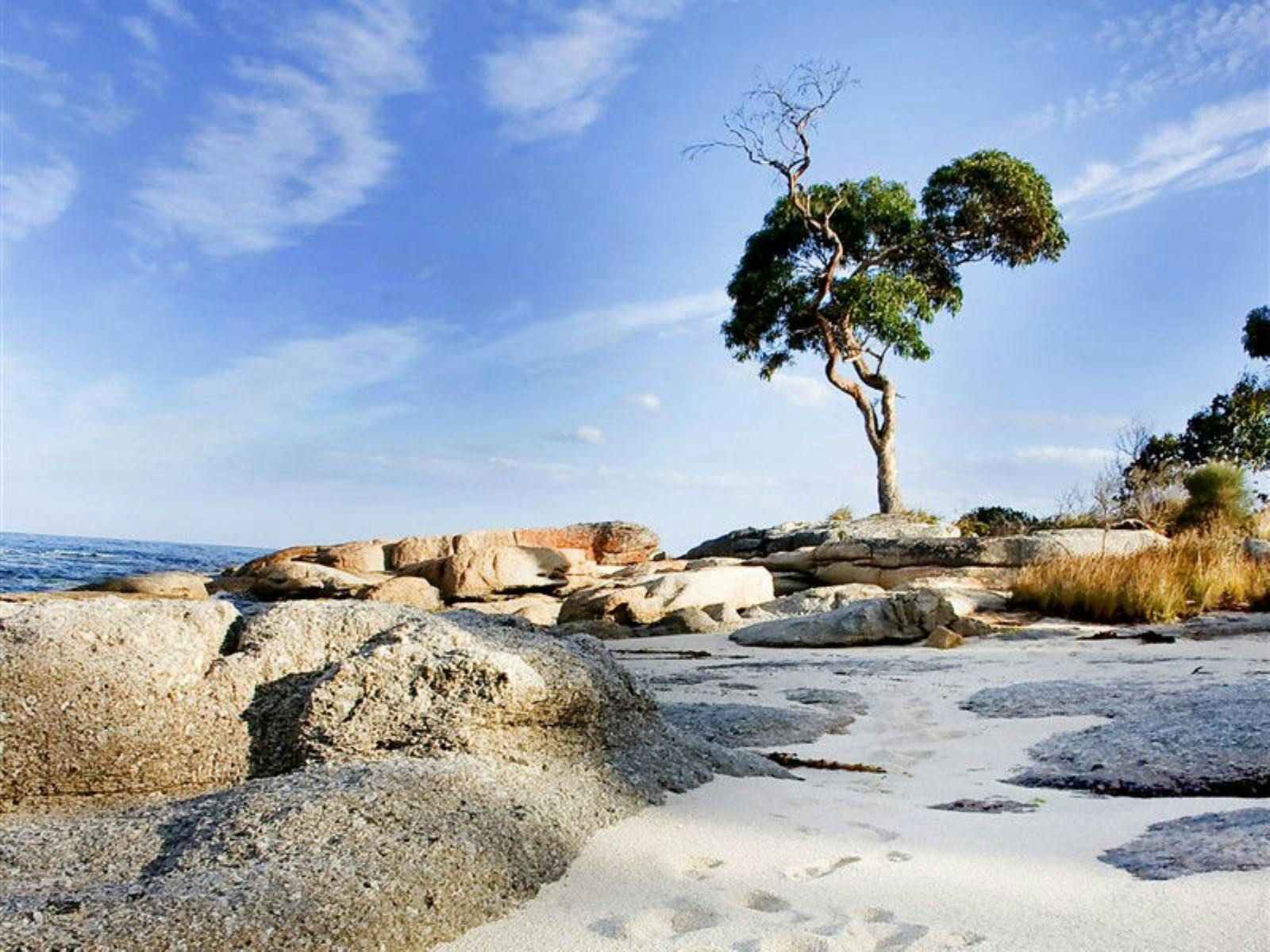 Rice Pebble Beach, Bicheno