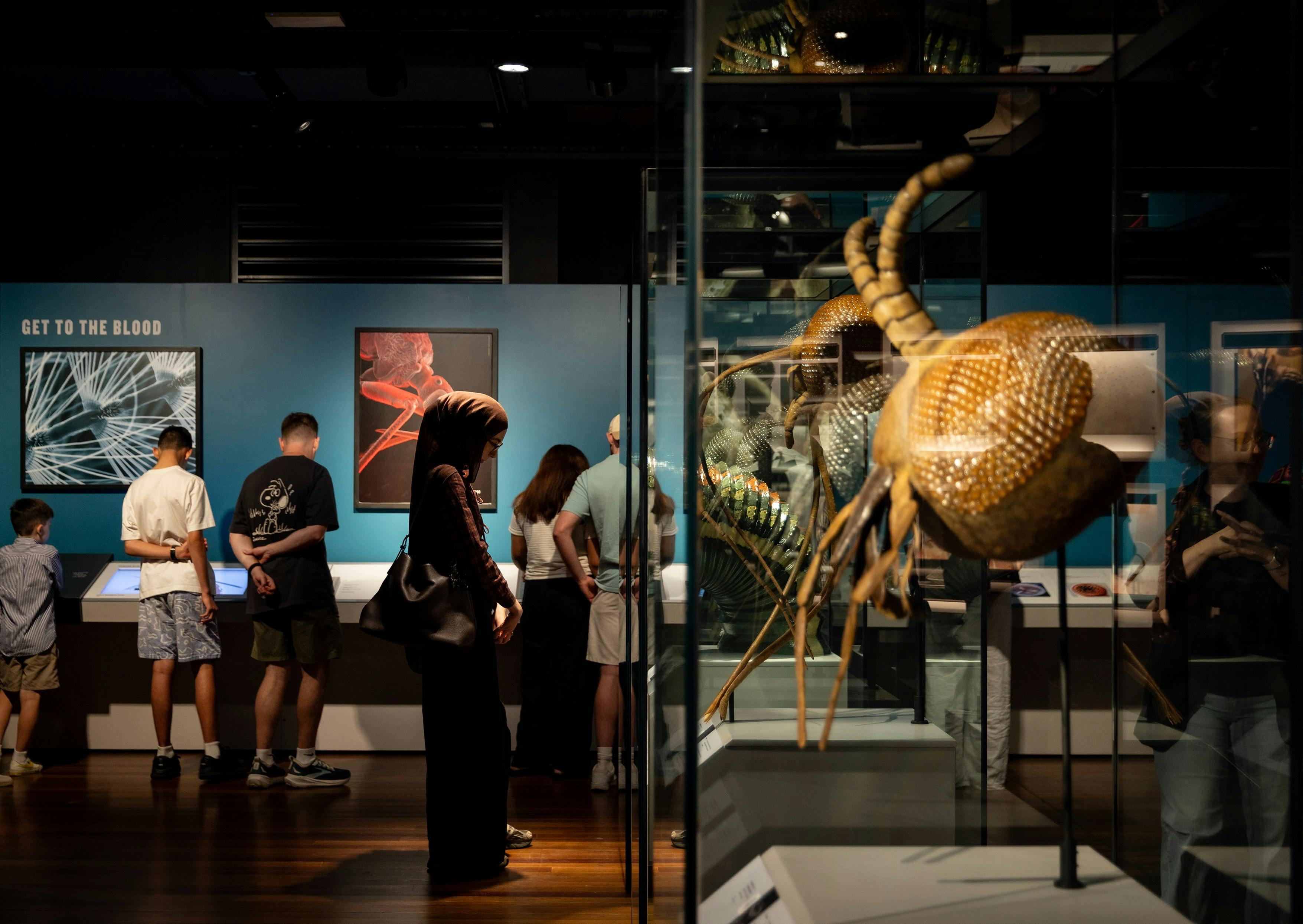 Bloodsuckers Exhibition