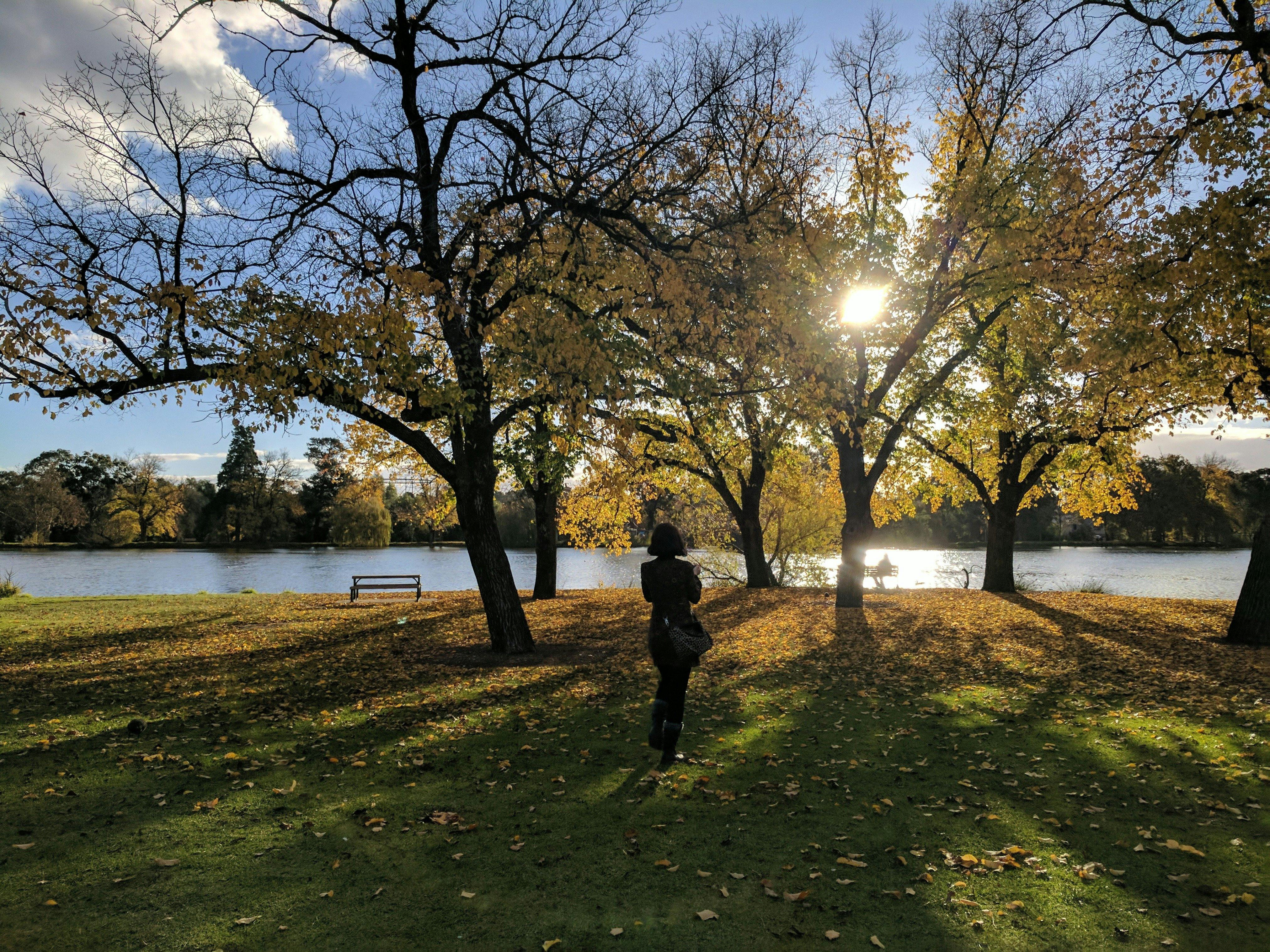 Lake Weeroona