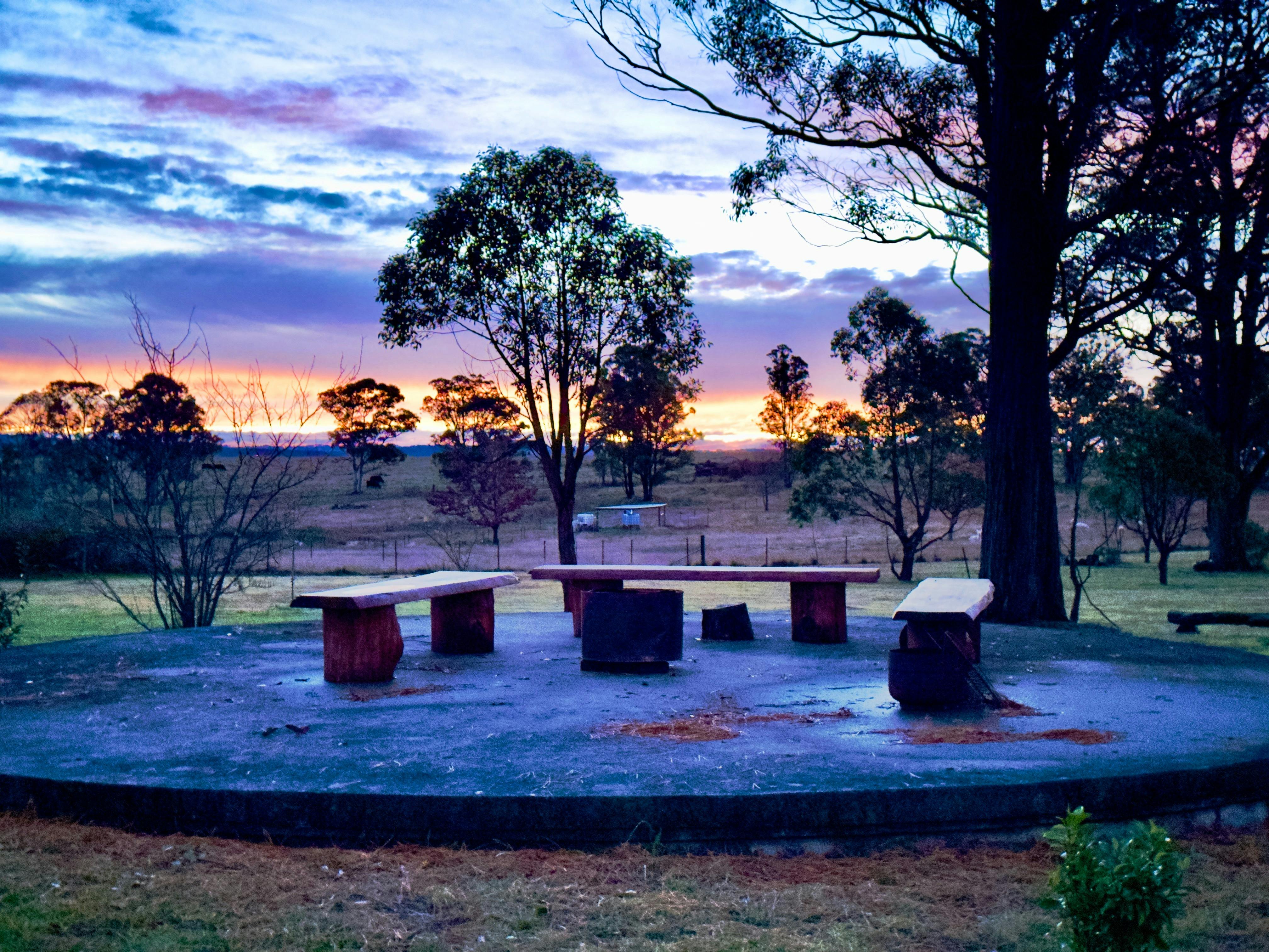 ファイヤーピットと座席