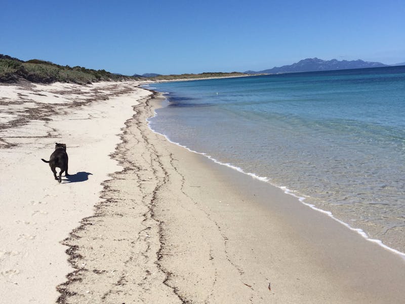 Lillies Bay Camping Ground