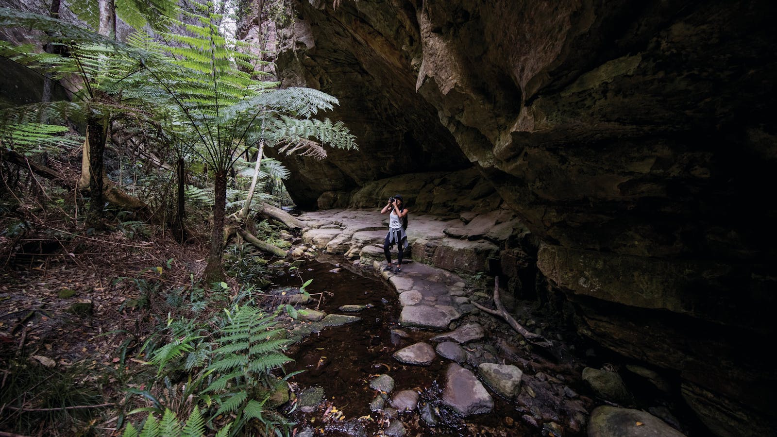 Carnarvon Gorge, Carnarvon National Park
