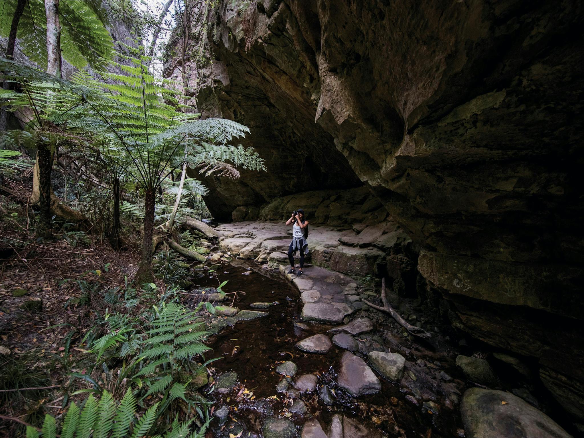 Photographer taking photo in Wards Canyon.