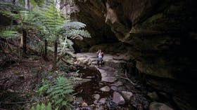 Carnarvon Gorge, Carnarvon National Park