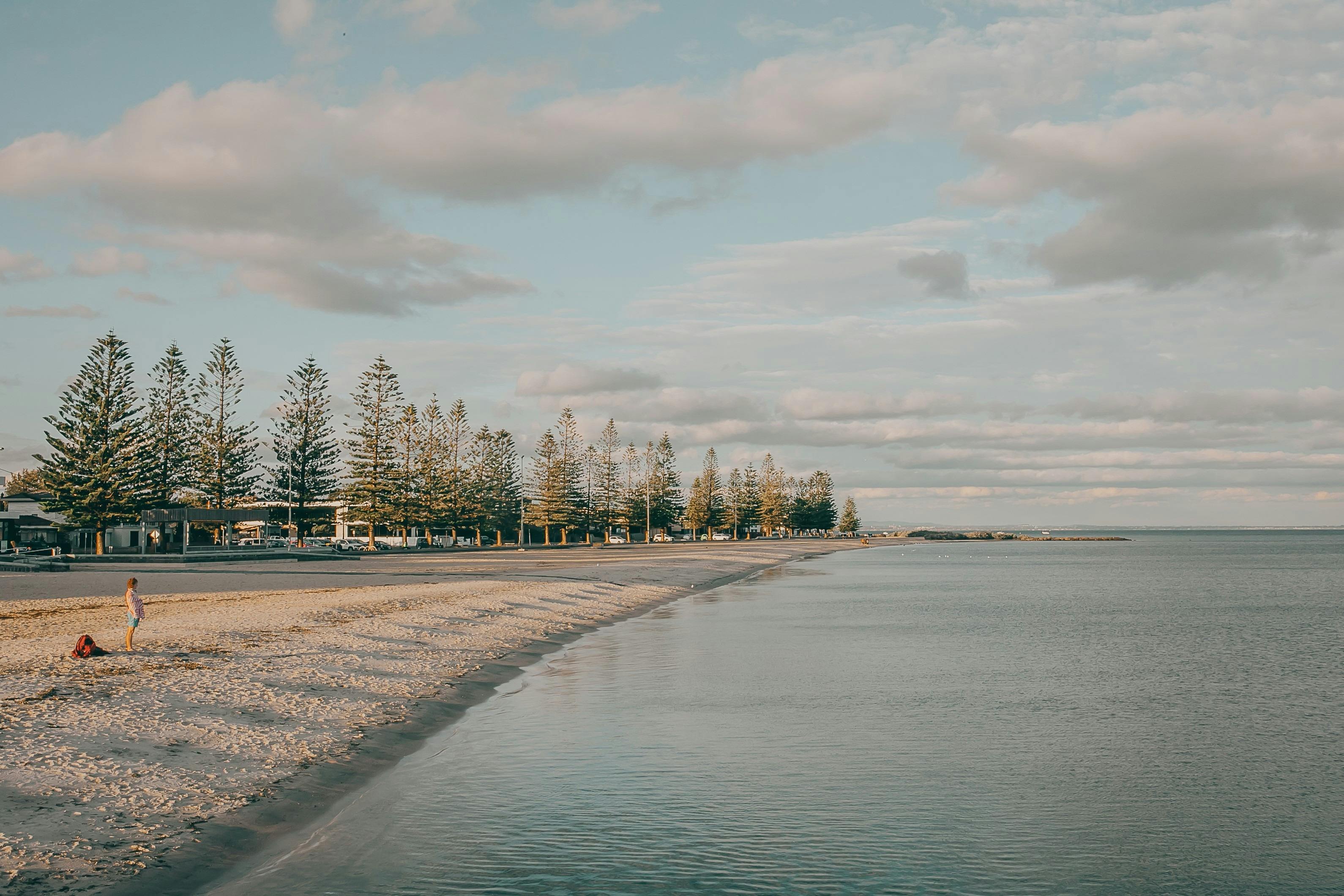Norfolk Pines at Altona Beach