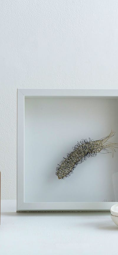 Craft + Design Canberra Shop