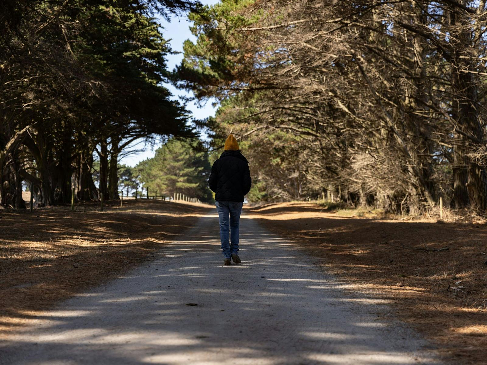 A King Island farmstay at Kintyre Haven image