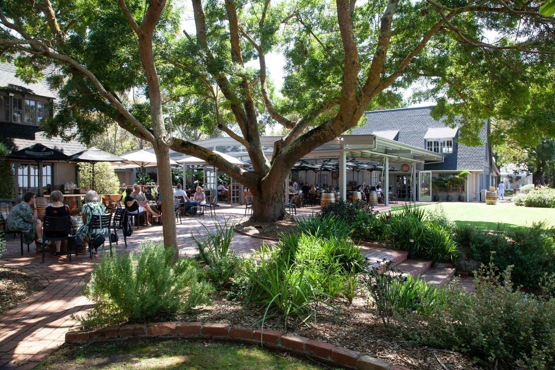 Scotchmans Hill's Wine Garden