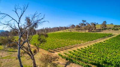 Barton Estate Winery