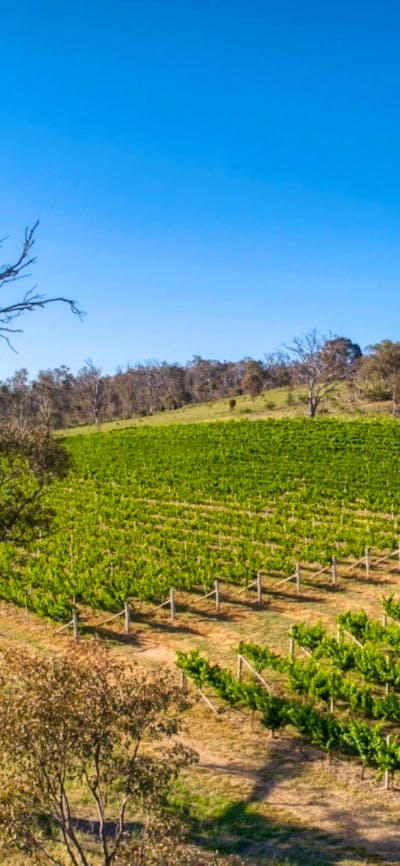 Barton Estate Winery