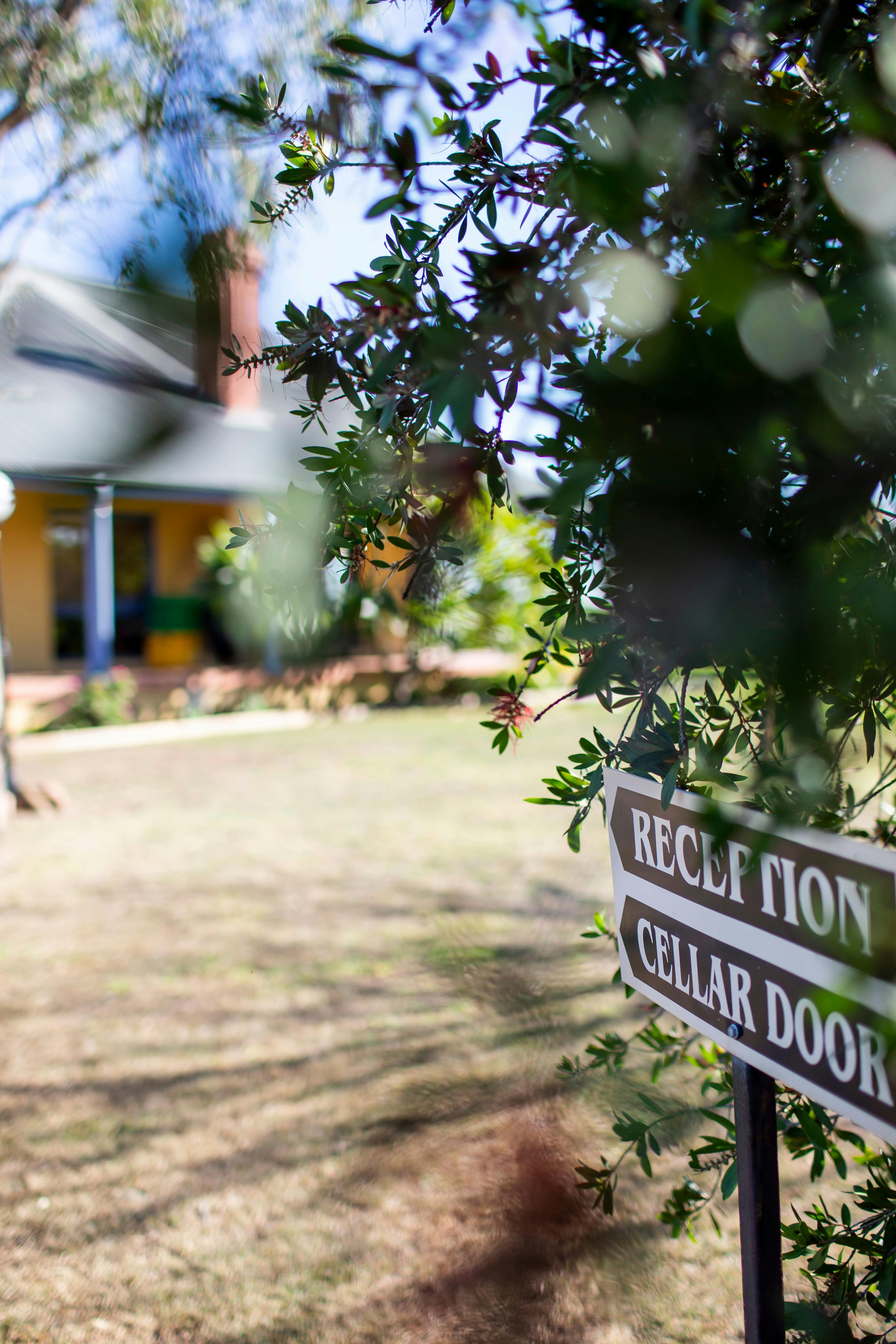 Tranquil Vale Vineyard