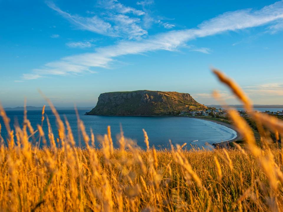 Coastline Tours Tasmania photo