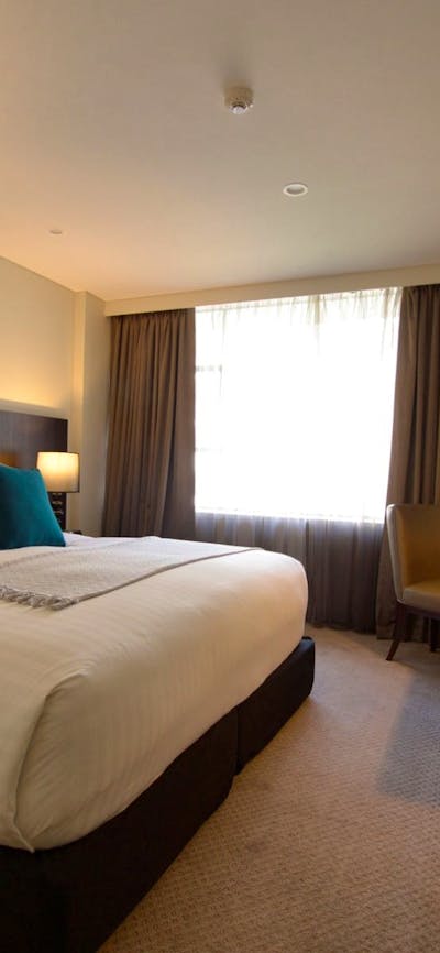 King Room featuring the Rex Cloud Bed