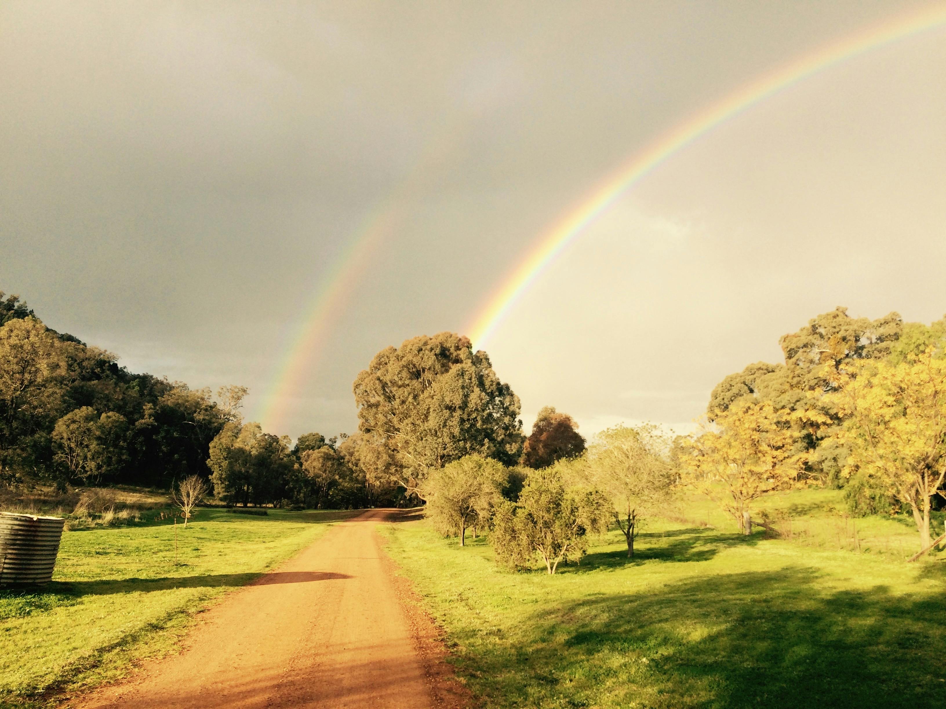 Wildwood at the end of the rainbow