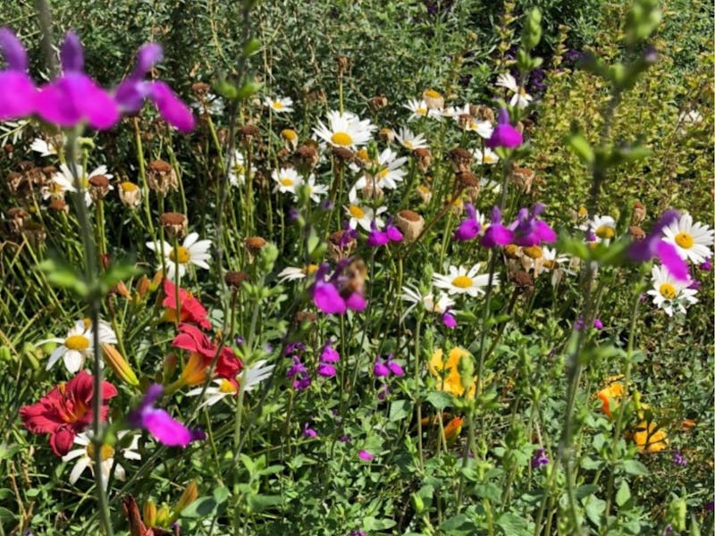 Image for Gardens of Mudgee