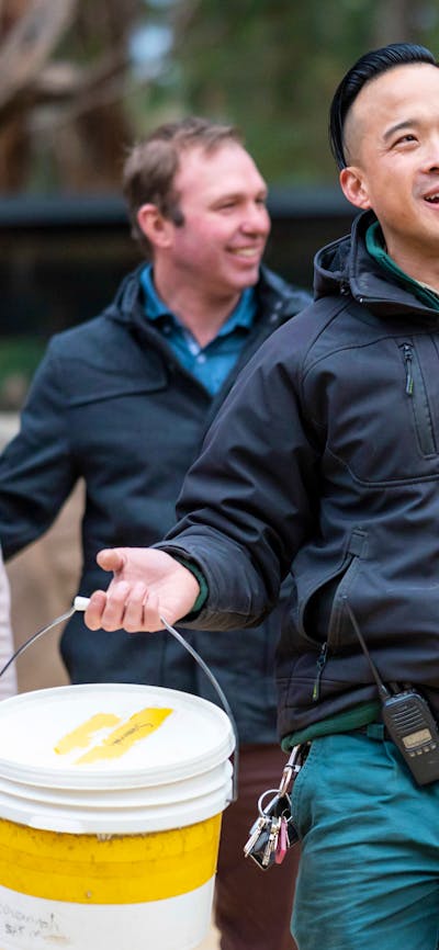 4 Guests are following a Jamala tour guide through the zoo.