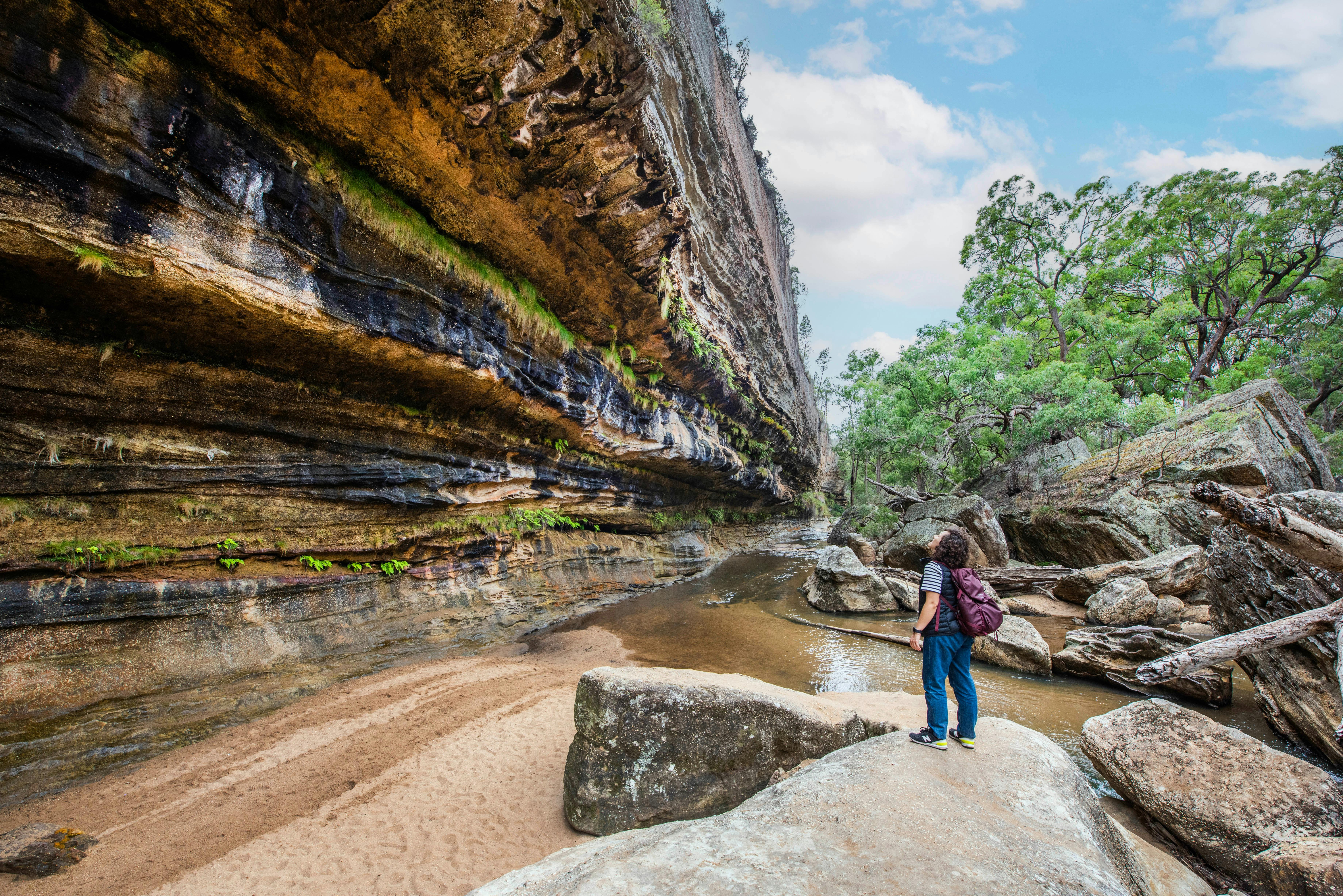 The Drip walking track