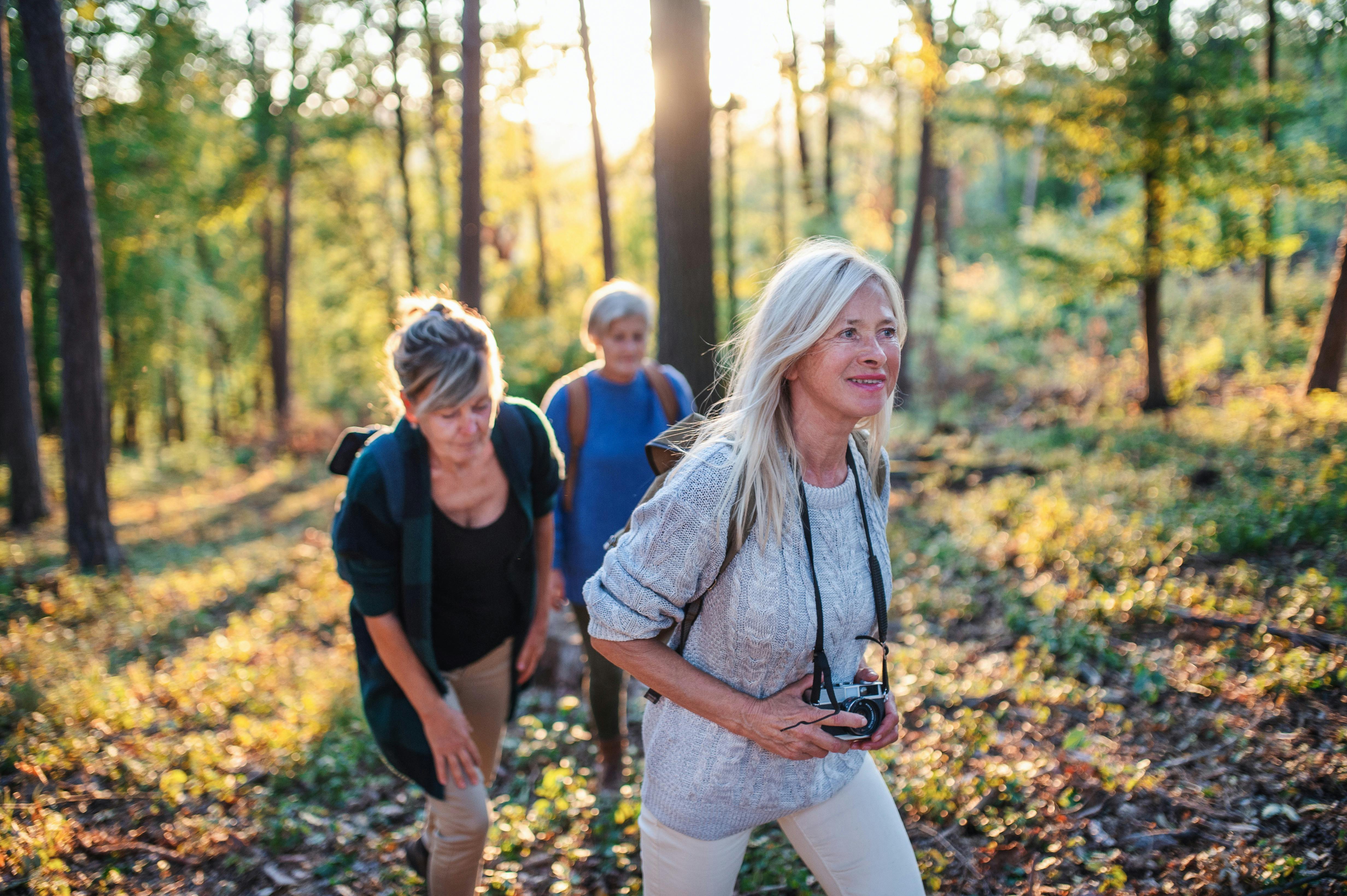Mansfield Bushwalks suit all ages and fitness levels