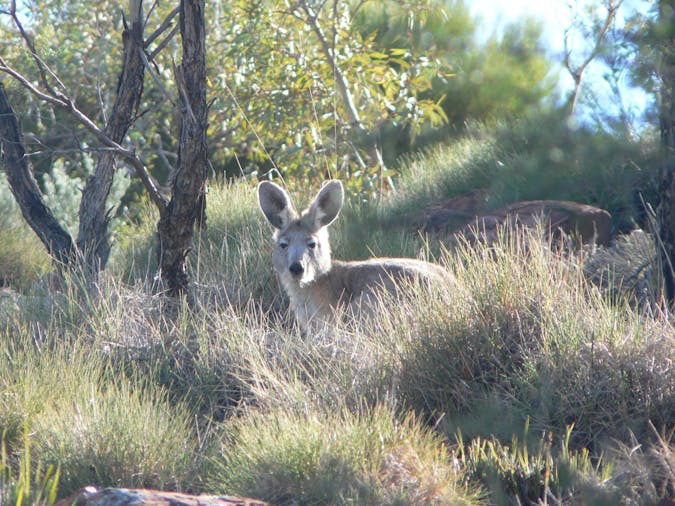 Daybreak Walk Three Kilometre Loop