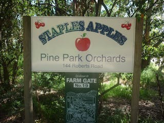 Staples Apples