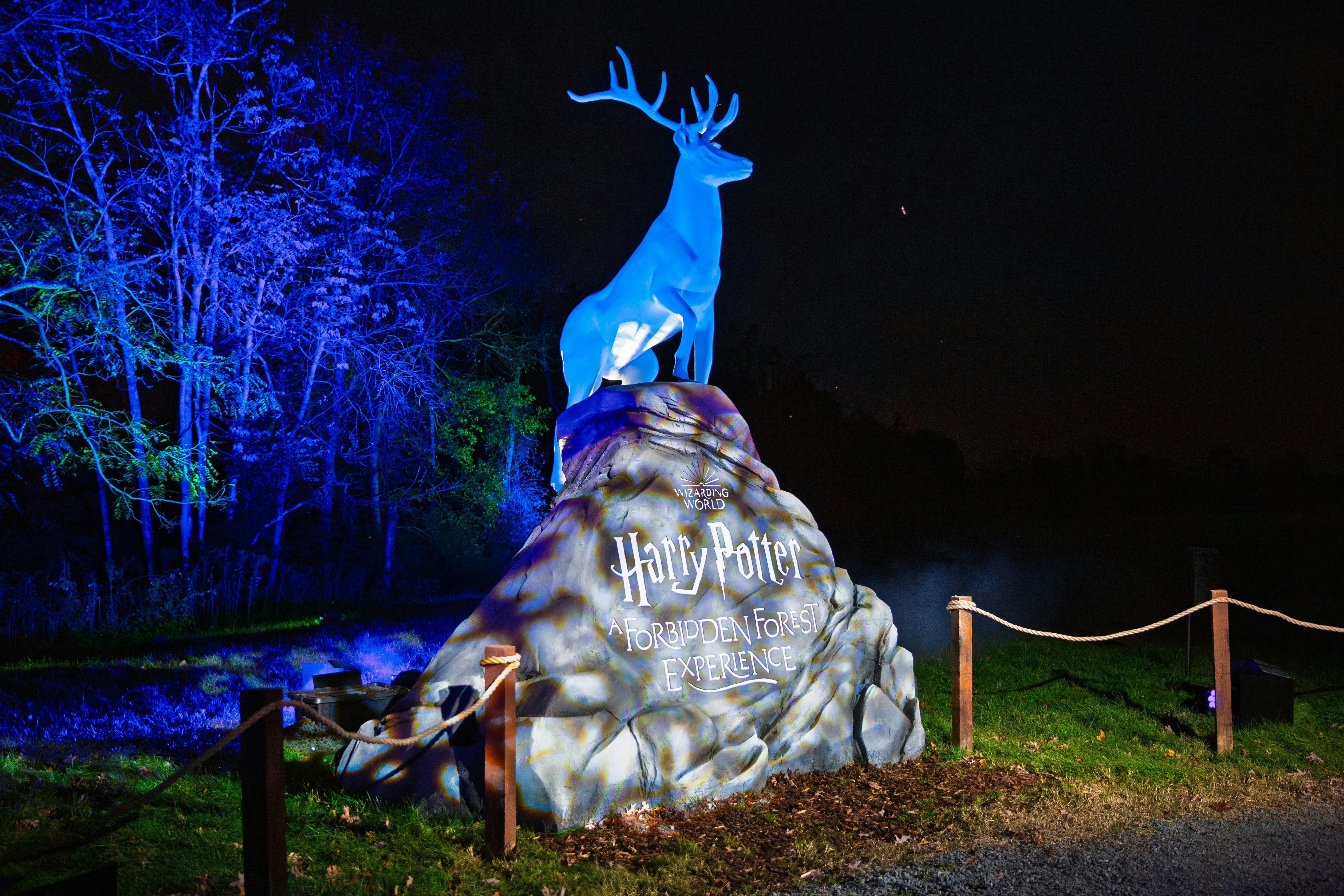 Harry Potter: A Forbidden Forest Experience