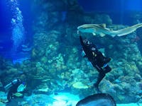 Cairns Aquarium