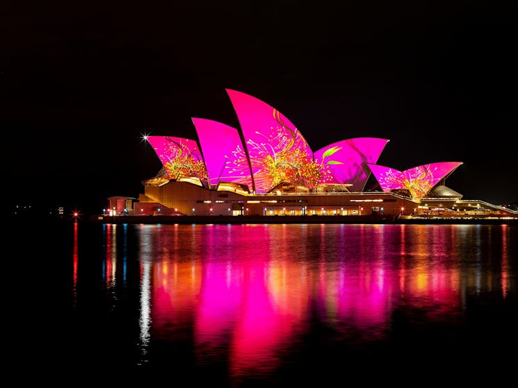 Vivid Festival of Light and Sound Harbour Cruise | Sydney, Australia -  Official Travel & Accommodation Website