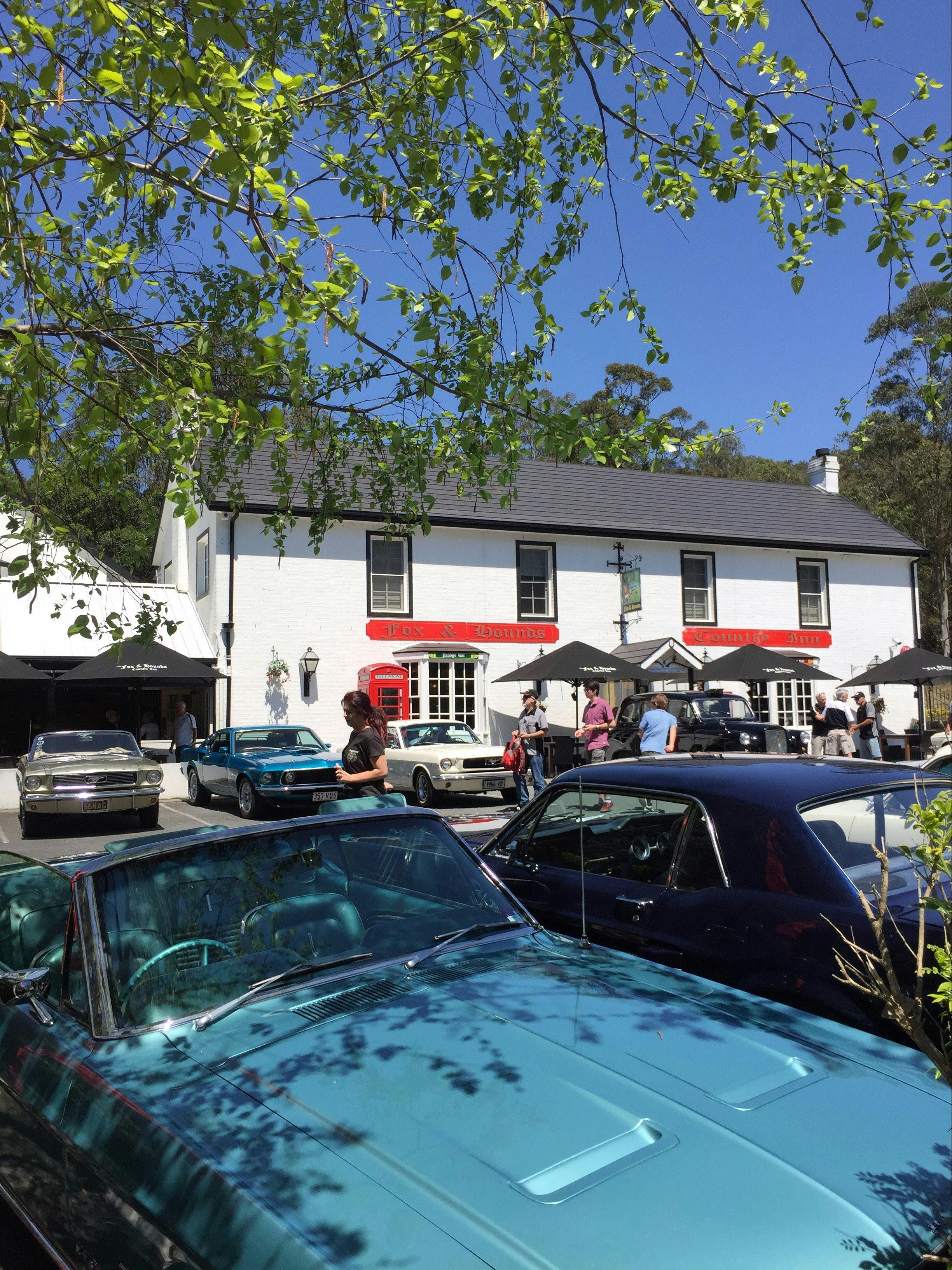 Fox and Hounds