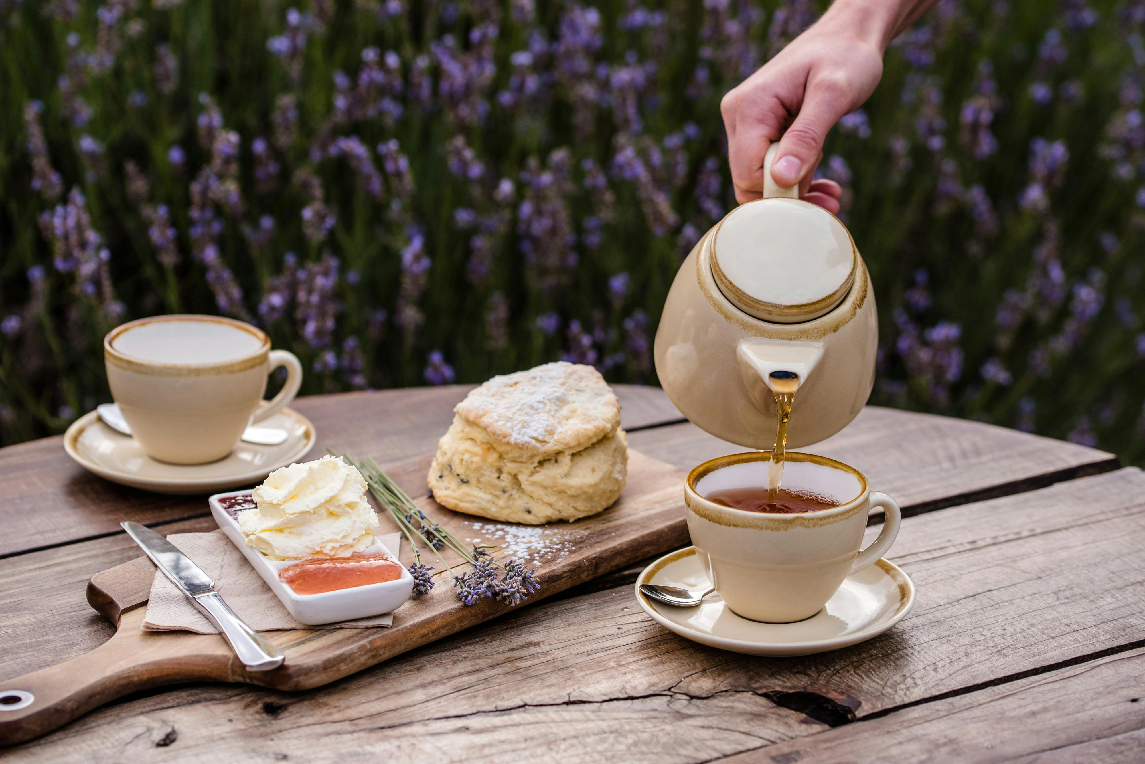 Delicious Morning Tea