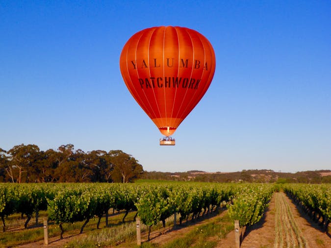 Barossa Balloon Flight