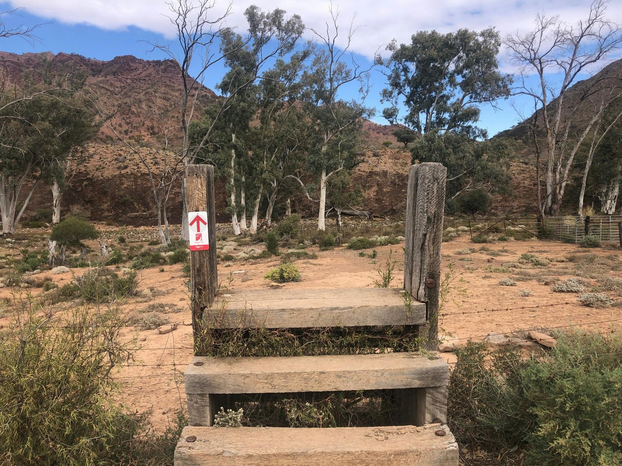 7 Day Flinders Ranges Heysen Trail Adventure