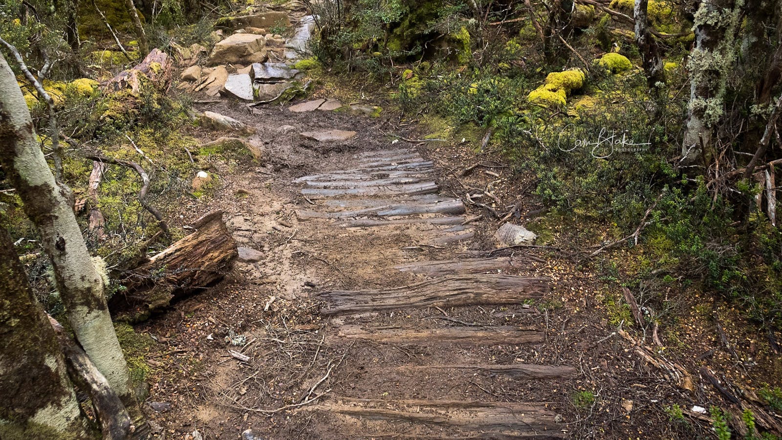 Overland Track Tasmania Hiking Photography