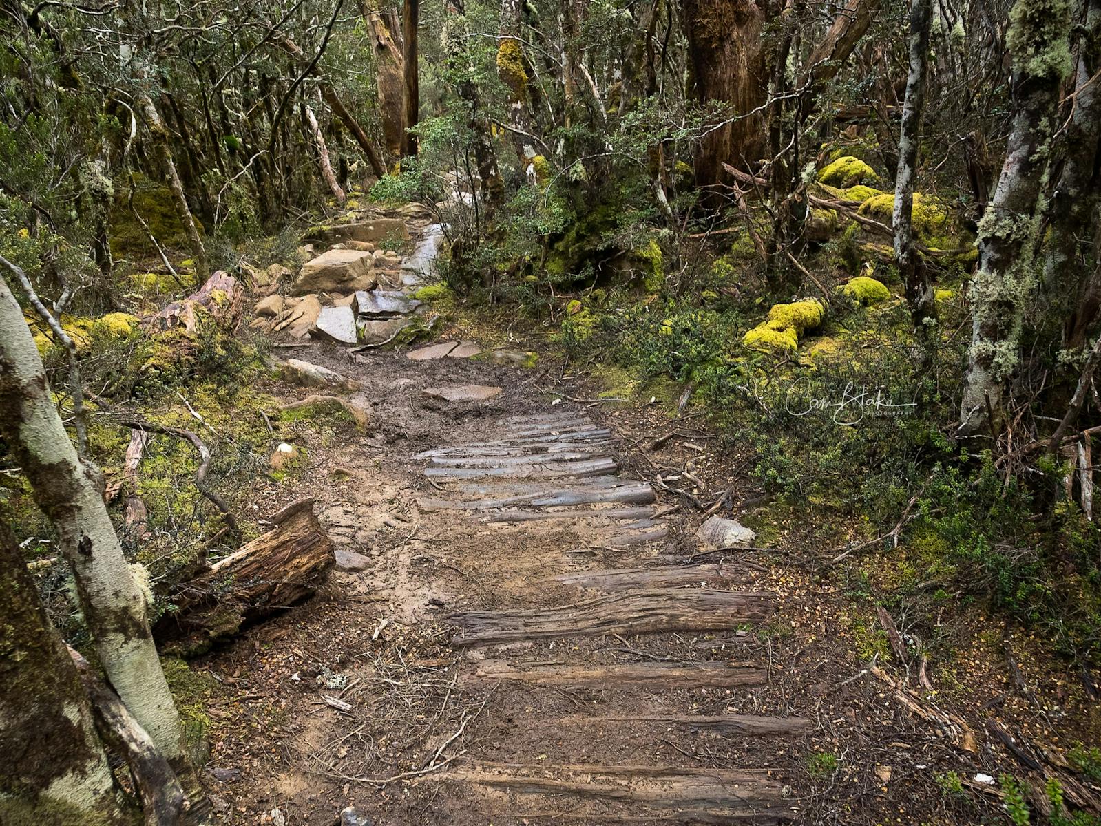 Overland Track Tasmania Hiking Photography