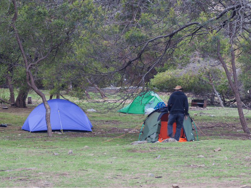Darlington Campground