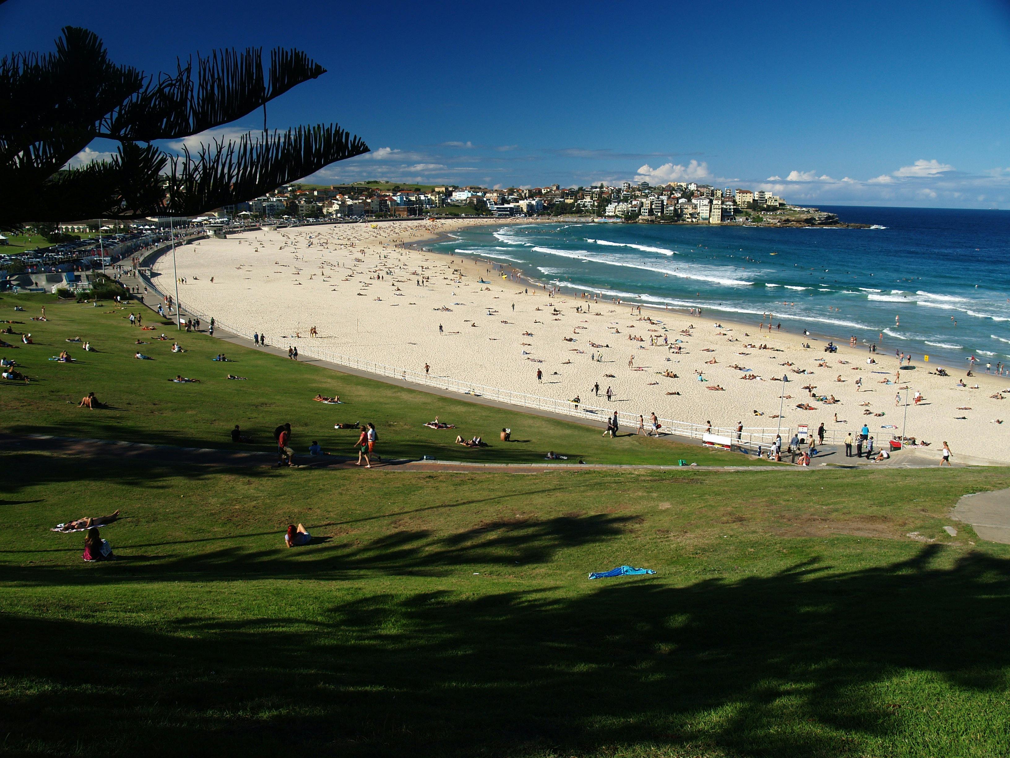 Bondi Beach, Watsons Bay and the most affluent suburbs of Sydney.