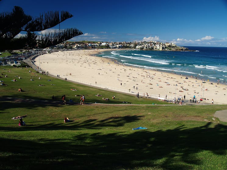 Bondi Beach, Watsons Bay and the most affluent suburbs of Sydney.