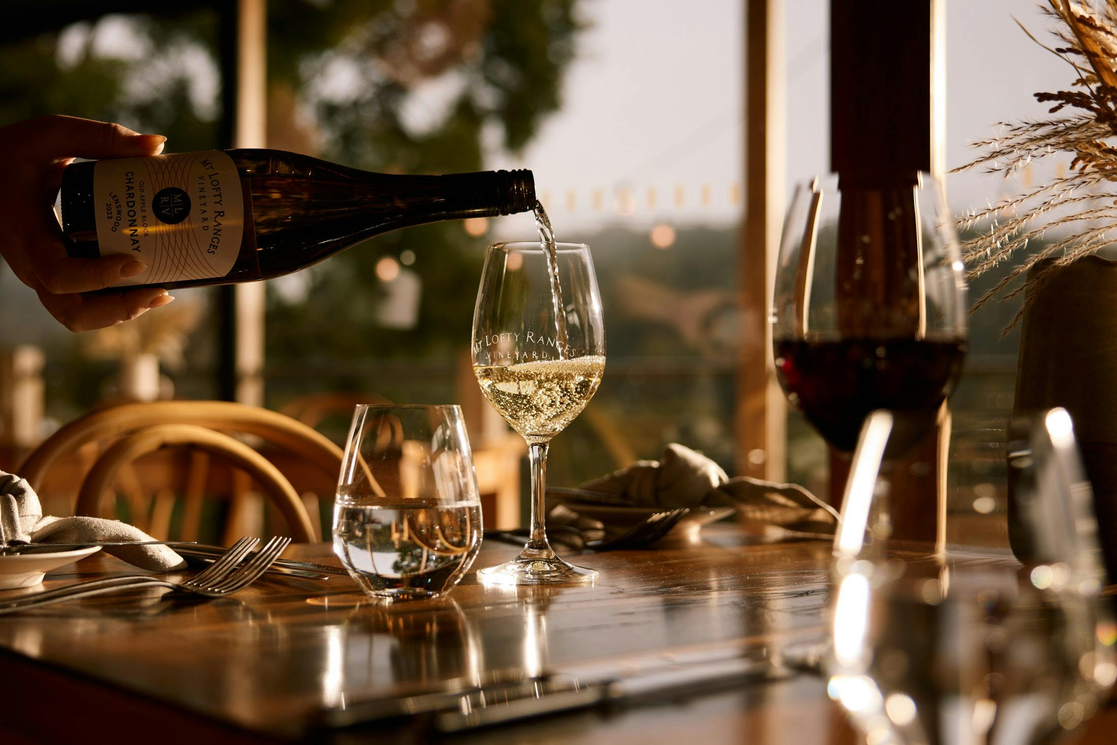 Mt Lofty Ranges Vineyard